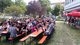sommergrillen