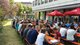 sommergrillen