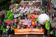 Stop CETA und TTIP