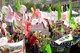 Stop CETA und TTIP