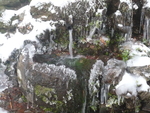 Schneebild Schneebild